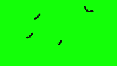 Halloween-Fledermäuse-Fliegen-Loop-Animation-Halloween-Konzeptelement-Mit-Alphakanal